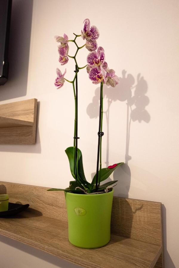 Opera Apart 2 Apartment Brasov Luaran gambar