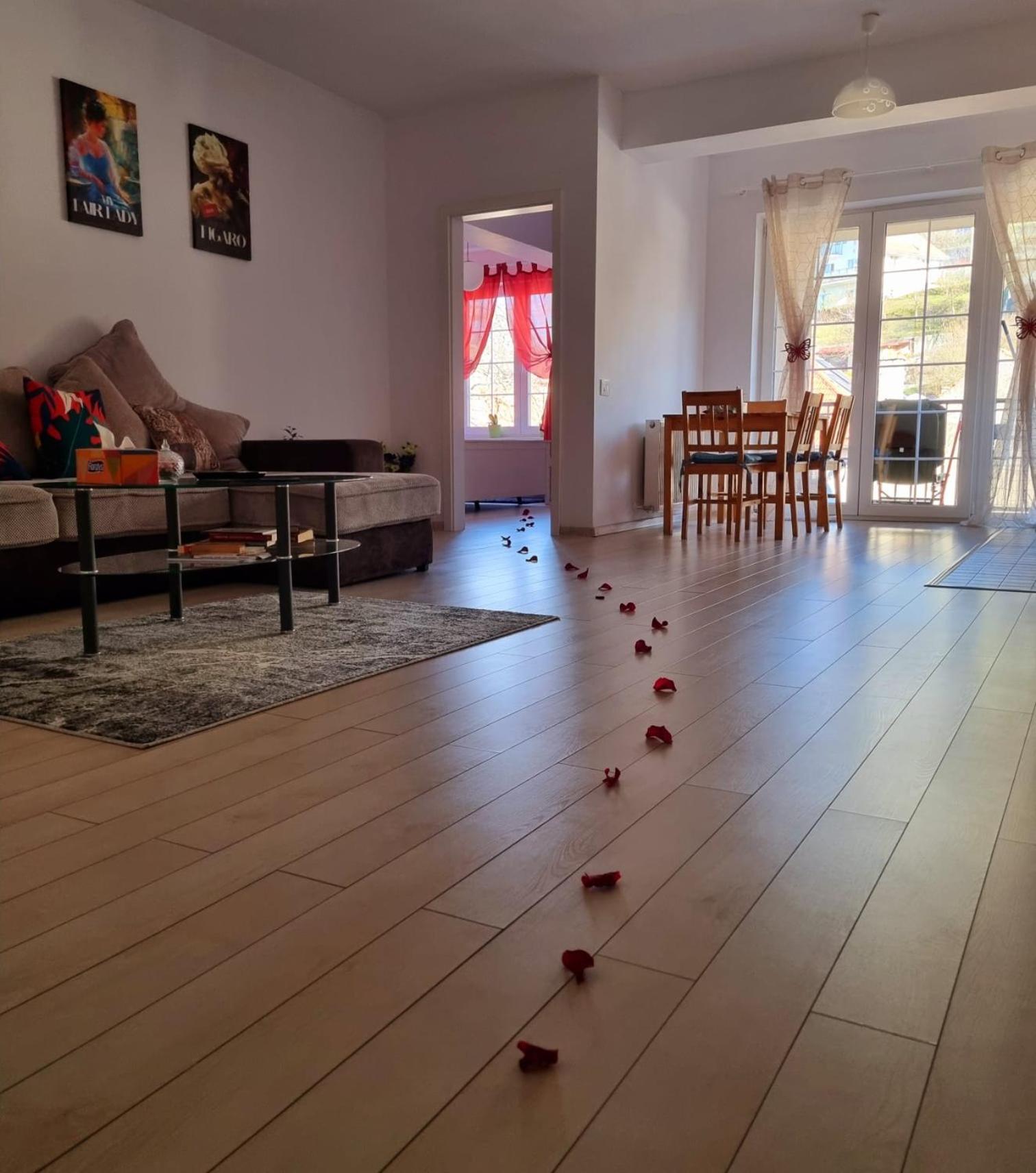 Opera Apart 2 Apartment Brasov Luaran gambar